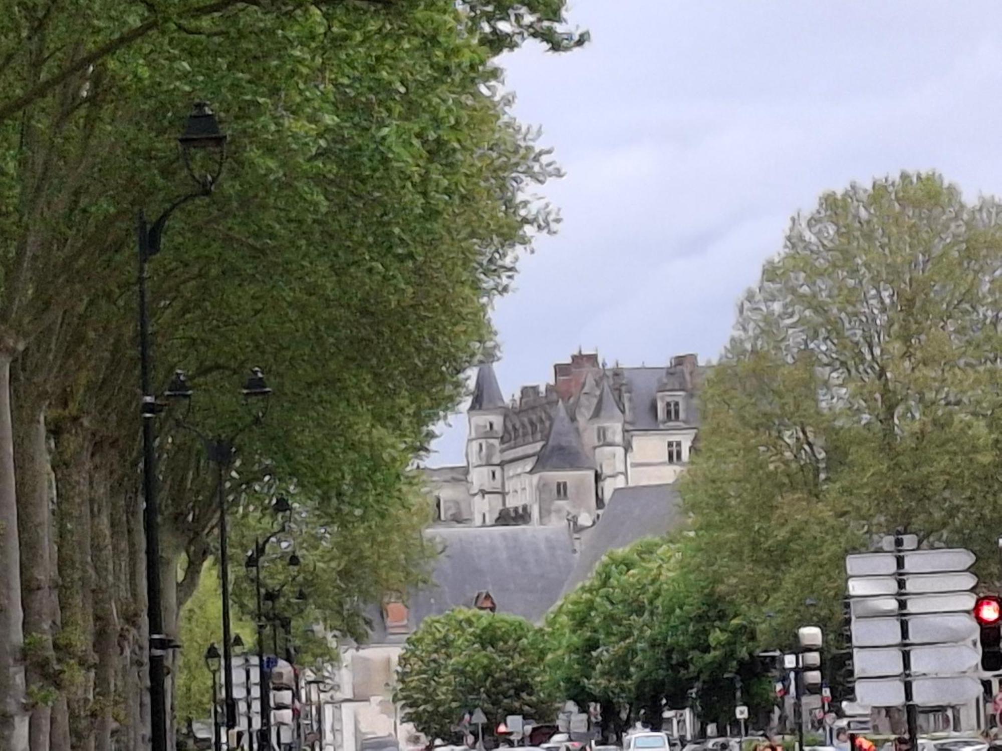 Escale Au Pied Du Chateau 阿姆博斯 外观 照片